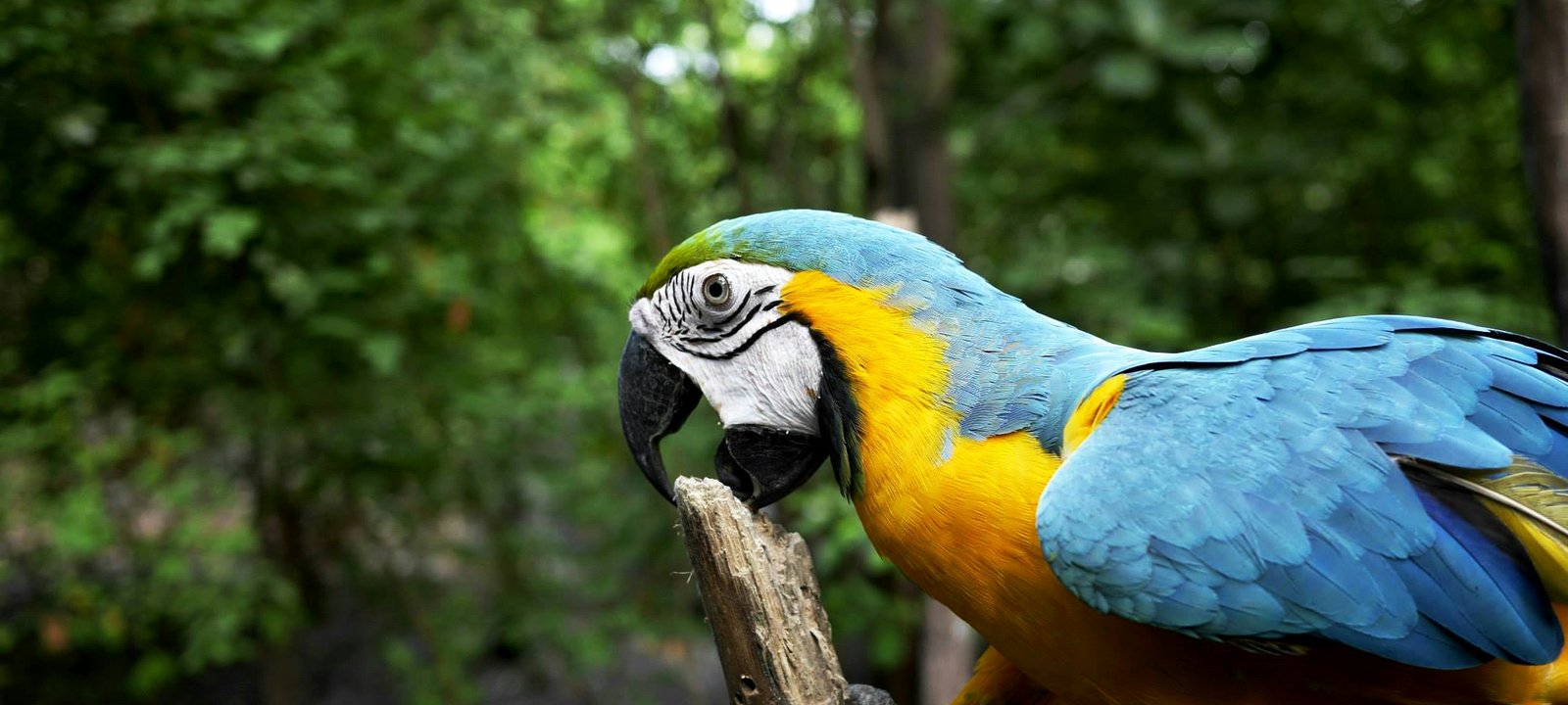 Peru & Ecuador (Pacific Coast) cruise destination hero image