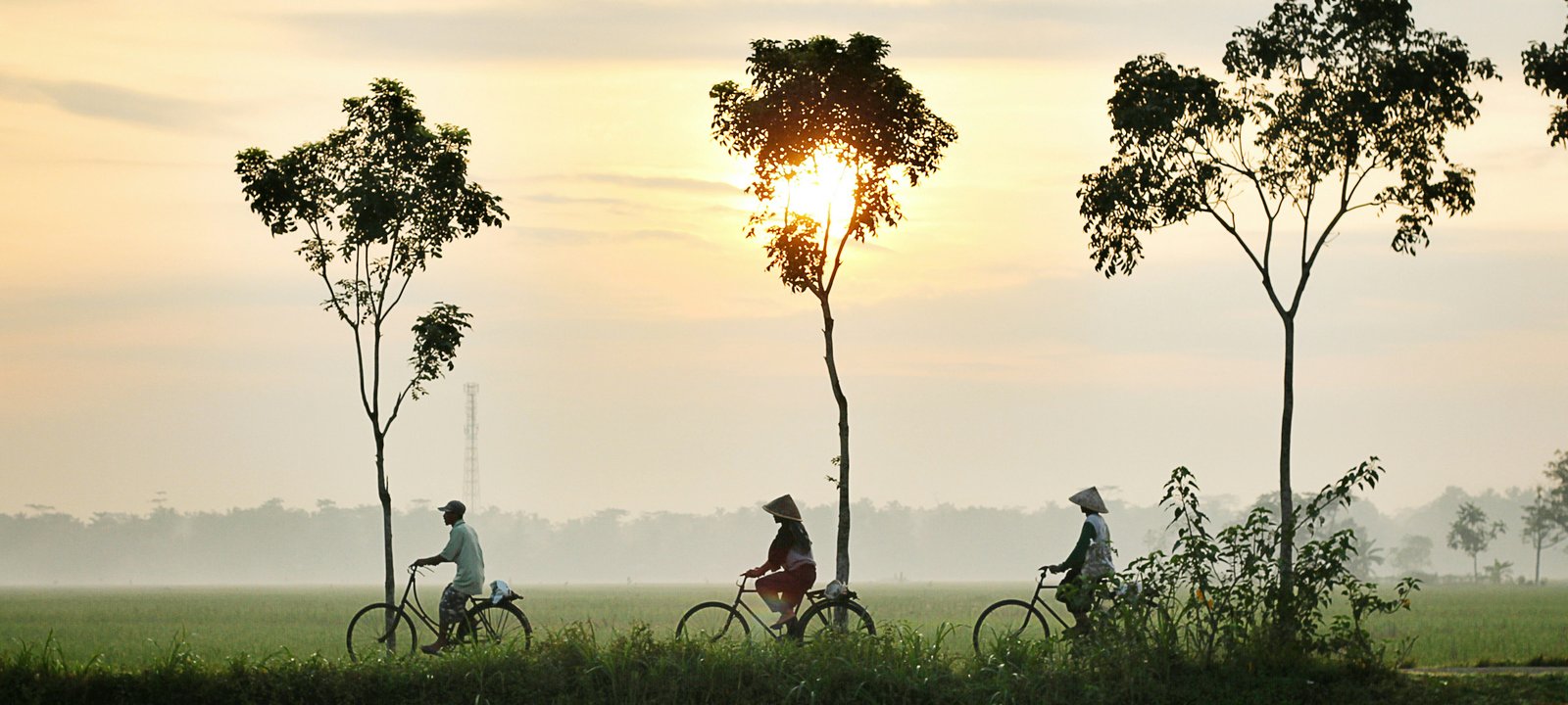 Southeast Asia cruise destination hero image