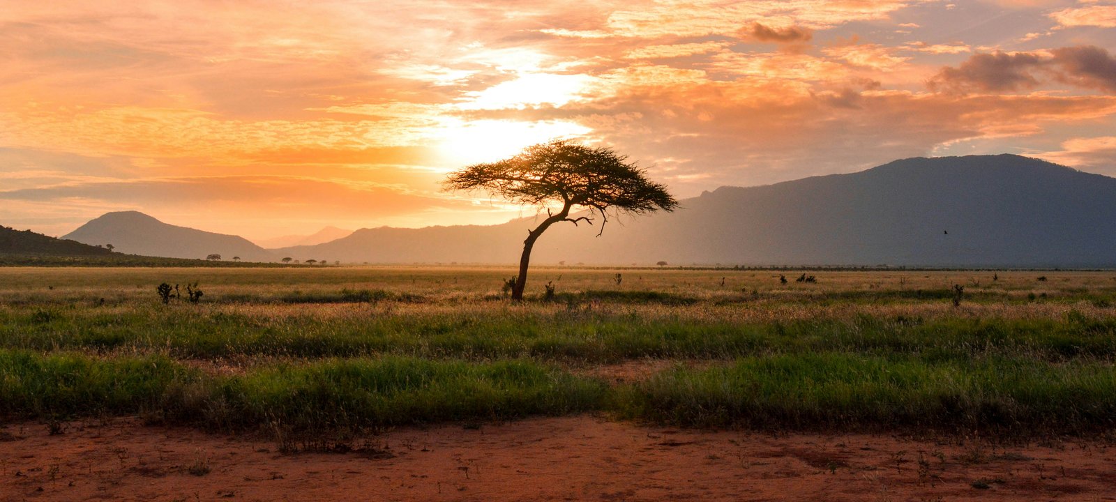 Africa cruise destination hero image