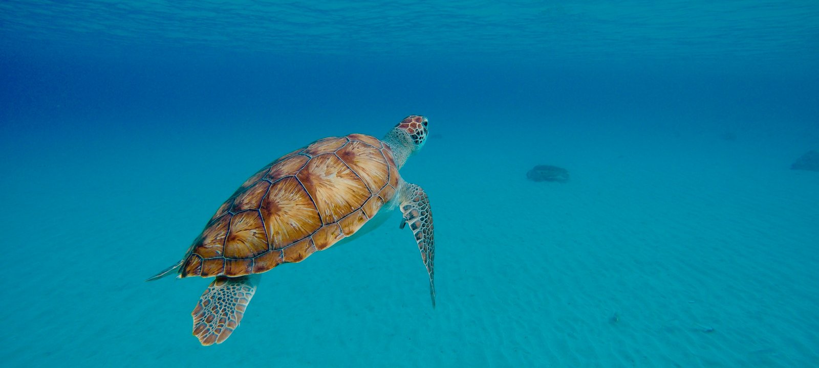 Southern Caribbean cruise destination hero image