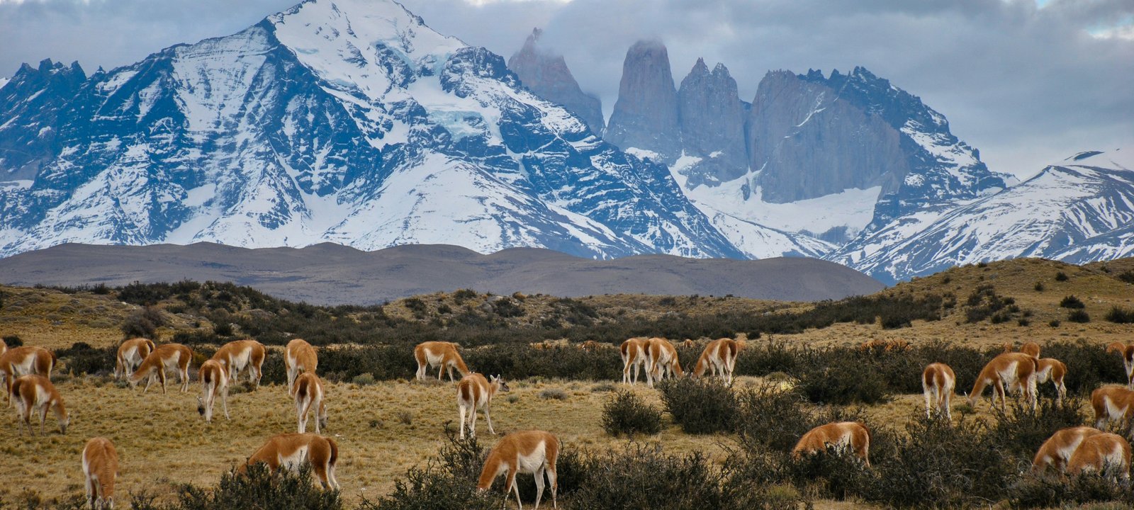 Chilean Fjords cruise destination hero image
