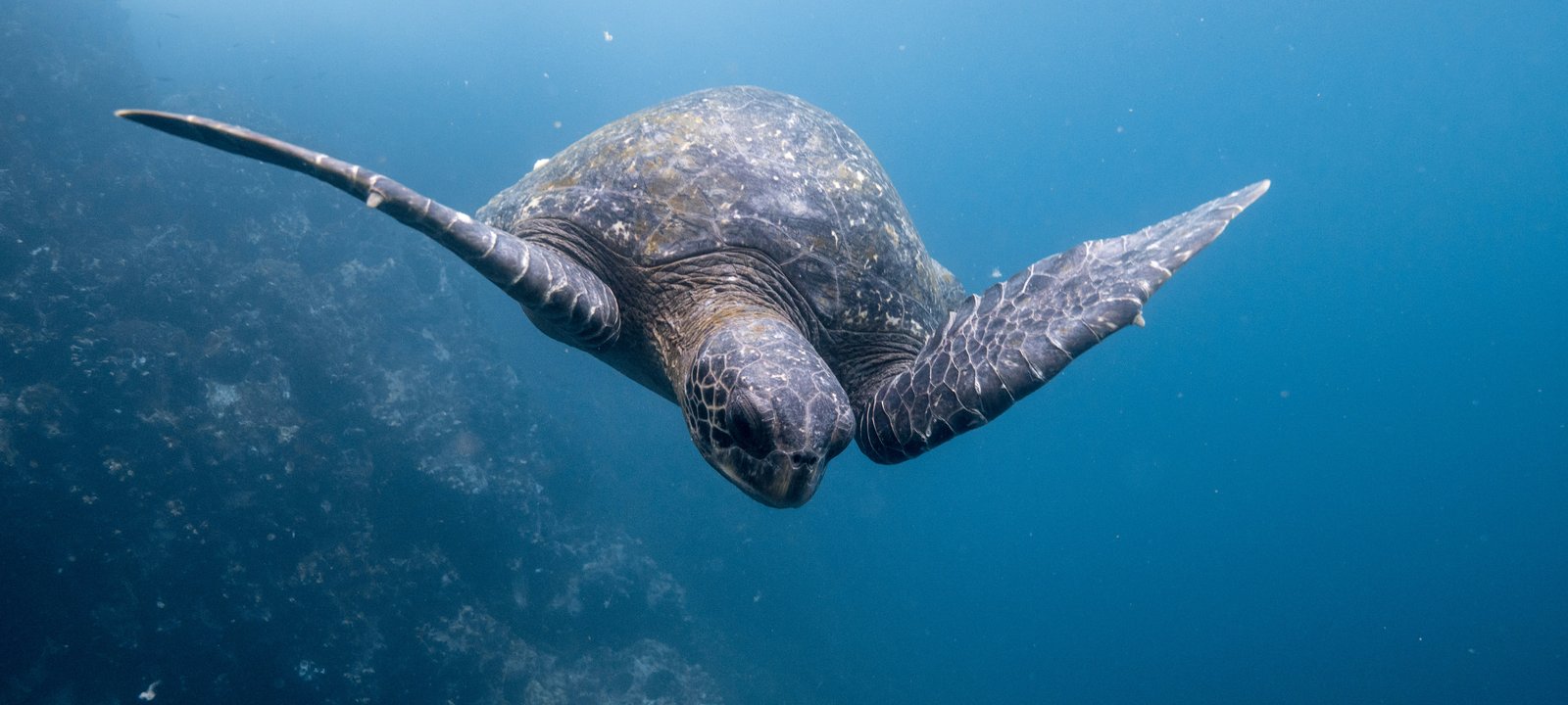 Galapagos Islands cruise destination hero image