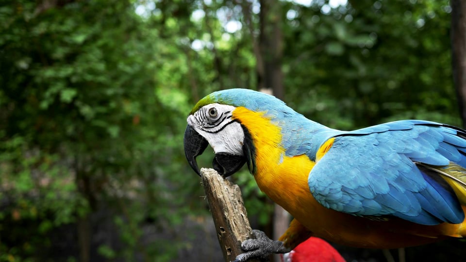 Peru & Ecuador (Pacific Coast) destination preview