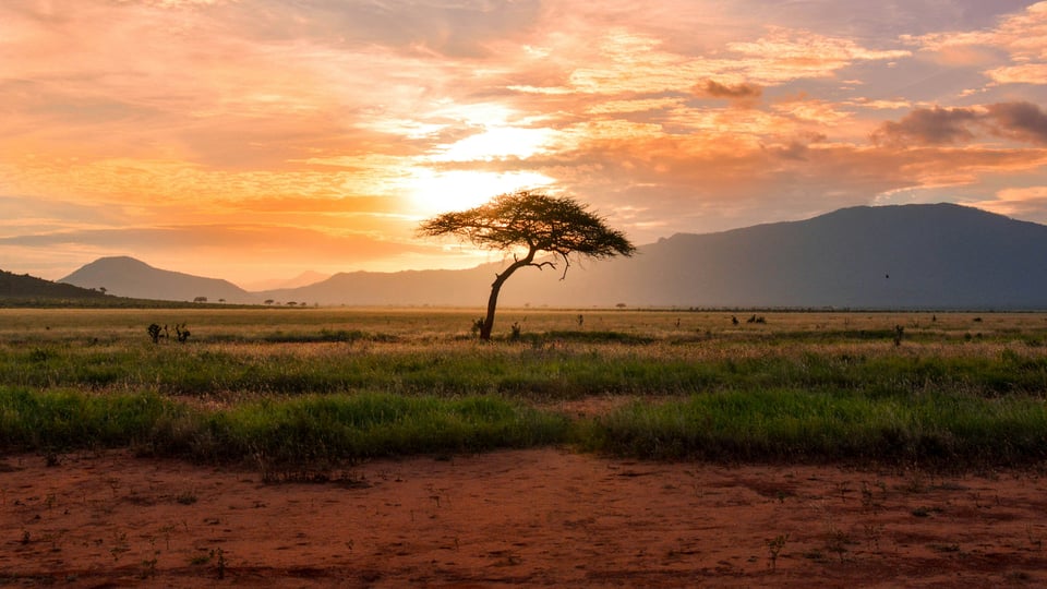Africa destination preview