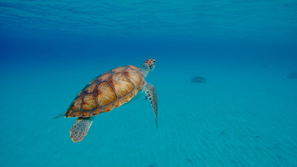 Southern Caribbean destination preview
