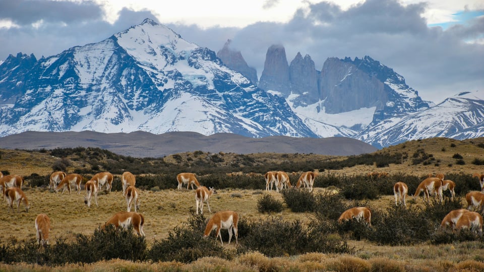 Chilean Fjords destination preview